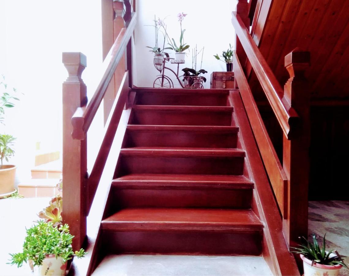 Casa Rural Los Helechos Agulo Εξωτερικό φωτογραφία